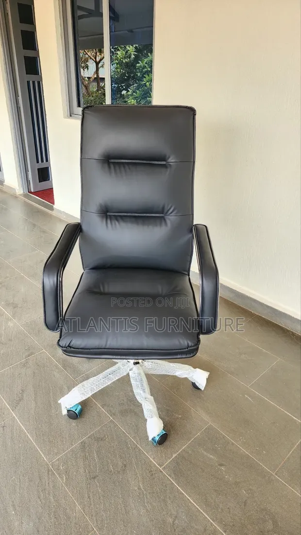 Executive Black and Stainless Steel Arms Chair - 1