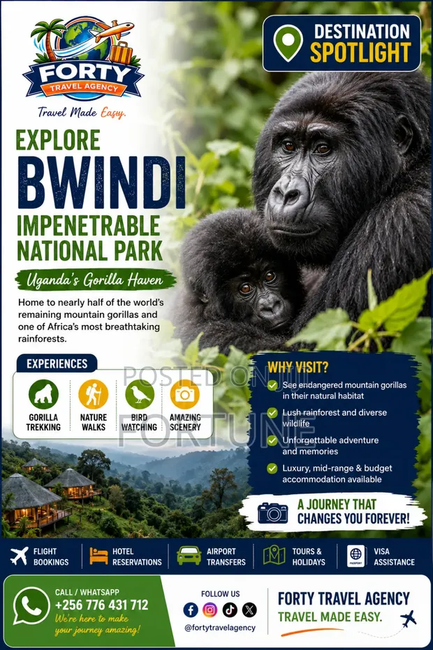 Gorilla Trekking in Bwindi Impenetrable National Park - 1