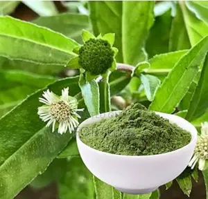 Bhringraj Powder - 1/4 Kg