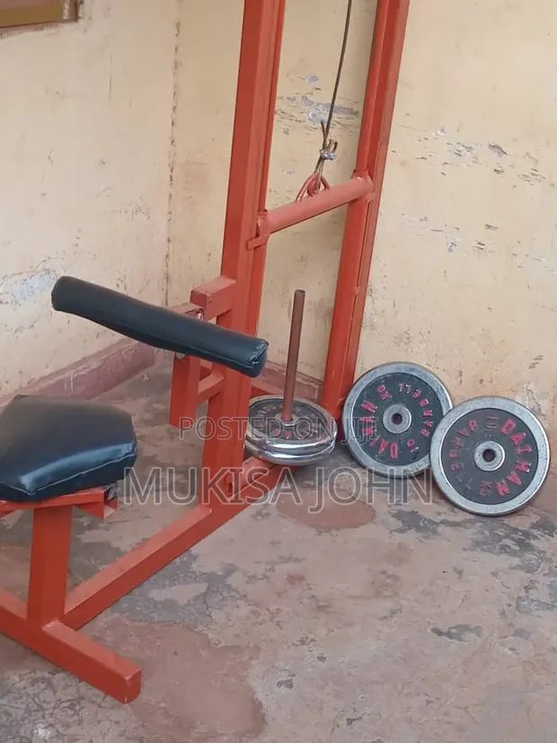Bh Fitness Chain Pull Up Bar with 35kg Weights - 1