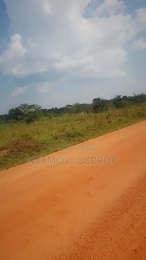 7 Acres Livestock Land for Sale - Kikyusa