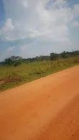 7 Acres Livestock Land for Sale - Kikyusa - 1