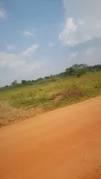 7 Acres Livestock Land for Sale - Kikyusa - 2