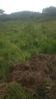 7 Acres Livestock Land for Sale - Kikyusa - 4