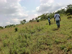 14 Acres in Kikyusa, Luwero District