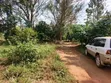 14 Acres in Kikyusa, Luwero District - 4