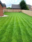 SLVC Artificial Turf - Green - 2
