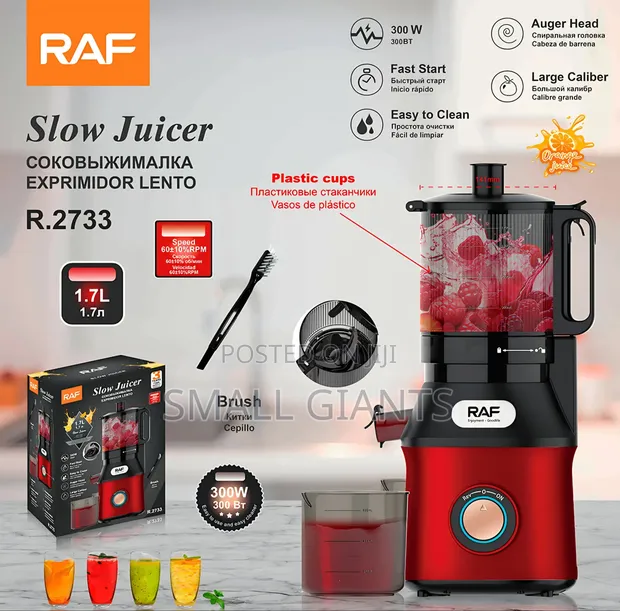 RAF Slow Juicer R.2733 - 1