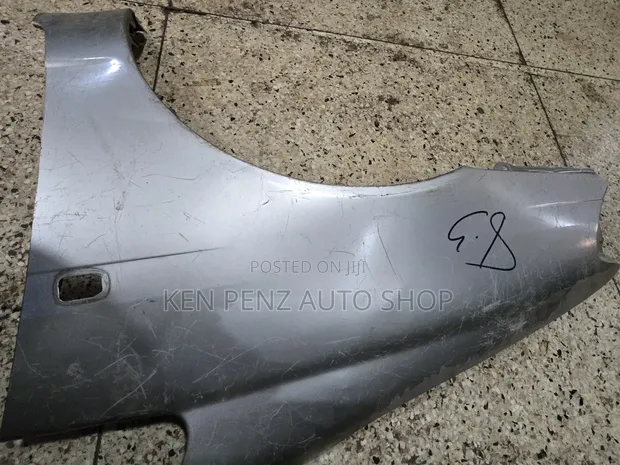 Toyota Corolla Spacio Side Fender (Used) - 1