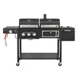 Dual BBQ Grill (LPG & Charcoal) - 2