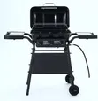 LPG BBQ Grill (Gas) - 1