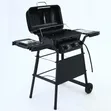 LPG BBQ Grill (Gas) - 3