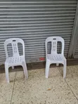 Elysian Plastic Chairs (1pc) - 1