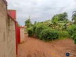 Entebbe Bunono Customary Land for Sale - 2