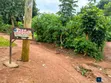 Entebbe Bunono Customary Land for Sale - 3