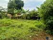 Entebbe Bunono Customary Land for Sale - 4