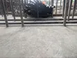 Steel Props for Scaffolding - 2