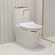 White and Gold Strip Toilet Seat - 2