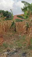 Land for Sale - Namugongo, Nabusugwe Town - 2