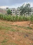 Titled Land for Sale at Buwate, Kira Municipality (100x100) - 2