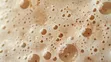 Brewery Yeast Liquid/Solid for Livestock Feed - 1