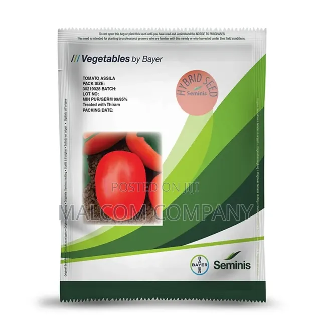 Assila F1 Tomato Seeds (10,000 Seeds) - 1