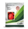 Assila F1 Tomato Seeds (10,000 Seeds) - 1