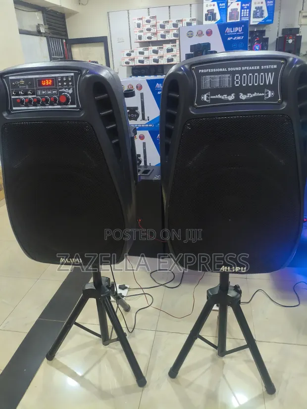 Alipu Single Professional Speaker - 1