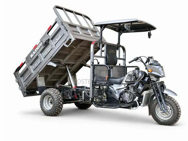 New KAINIU Tricycle - Gray - 1