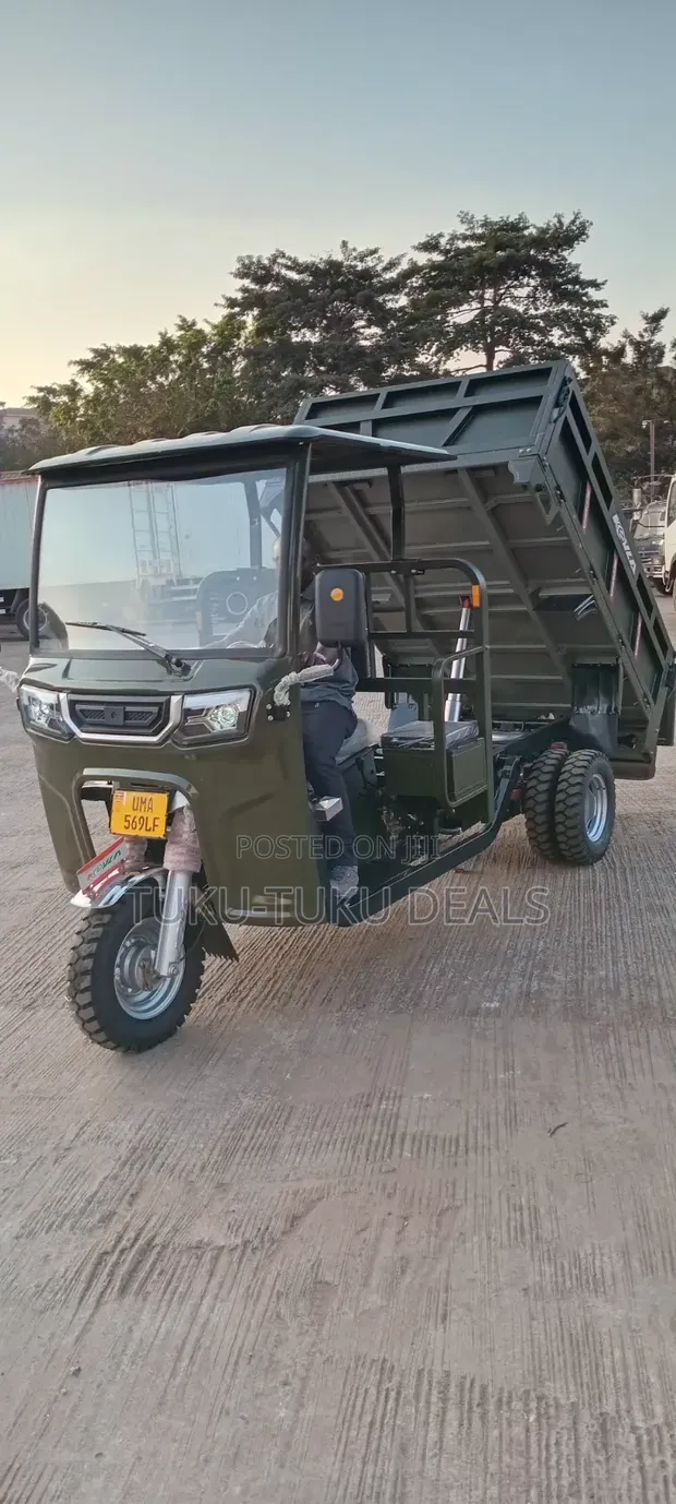 New Kevla 250cc Tricycle Tipper - 1