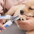 Pet Nail Clipper and File Set - 1