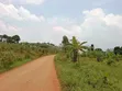 440 sqm Plot for Sale in Matuga Sanga - 2