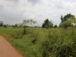 440 sqm Plot for Sale in Matuga Sanga - 3