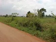 440 sqm Plot for Sale in Matuga Sanga - 4