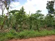 Acre of Land for Sale in Bamunanika, Luwero District - 5