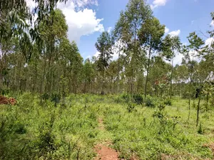 30 Acres Farmland in Kimwanyi, Bamunanika, Luwero