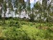30 Acres Farmland in Kimwanyi, Bamunanika, Luwero - 3