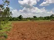 30 Acres Farmland in Kimwanyi, Bamunanika, Luwero - 4