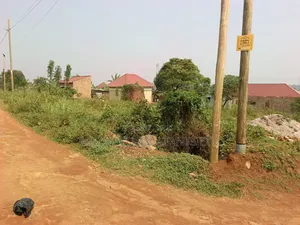 Commercial Plot for Sale in Matuga Town