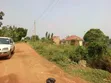 Commercial Plot for Sale in Matuga Town - 3