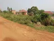 Commercial Plot for Sale in Matuga Town - 4