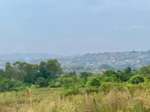 Land for Sale - Wamala, Near Akright City