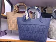 2 in 1 Dotcom Chrisbella Handbags - 2