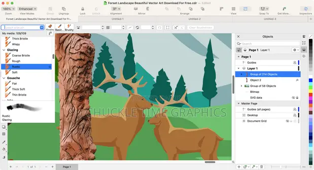 CorelDRAW Graphics Suite - All Versions, Lifetime License - 1