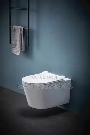 Classy Concealed Toilet Seat