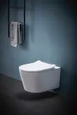 Classy Concealed Toilet Seat - 1