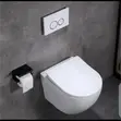 Classy Concealed Toilet Seat - 2