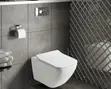 Classy Concealed Toilet Seat - 3