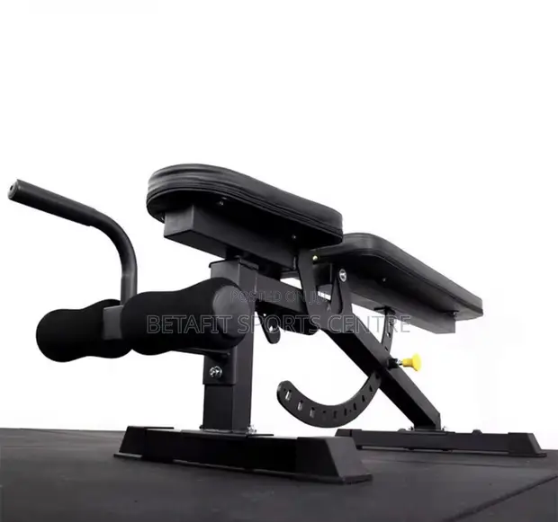Adjustable Dumbbell Weight Bench - Brand New - 1