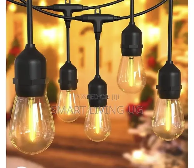 Premium Decorative LED String Lights - Long Lasting - 1